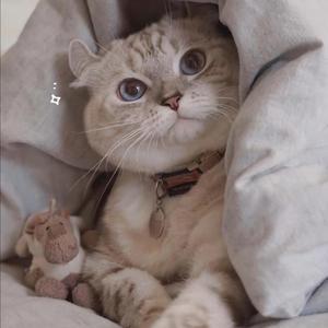 AV➕无码➕白丝➕高潮
