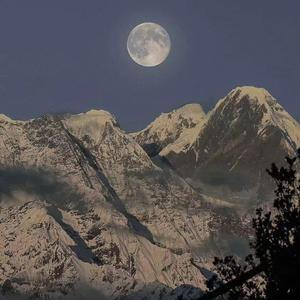 AV➕无码➕白丝➕高潮
