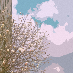 AV➕无码➕白丝➕高潮
